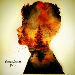 Premiere:  Larson (AR) - Good Timber (Original Mix) (Canopy Sounds)