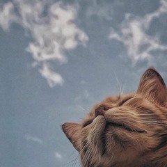 Just Chill.