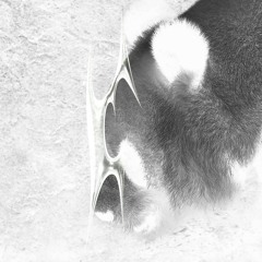 panda (ɱσƚh ƈhaɱႦҽɾ ҽdiƚ) (a stage forever shrinking) MASTER 12.25.wav (feat. Coachellaᴳʳⁱᵐᵉˢˢᵉᵗ)