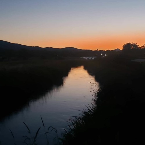 Searching For Meaning