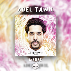 Adel Tawil - Lieder (SECO Techno Remix)