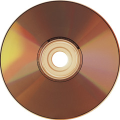 Nevertheless Freestyle