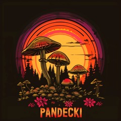 Psychill / Slow Trance / Psychedelic / Chillgressive | Pandecki | ORGANIC FESTIVAL 11-15.07.2024