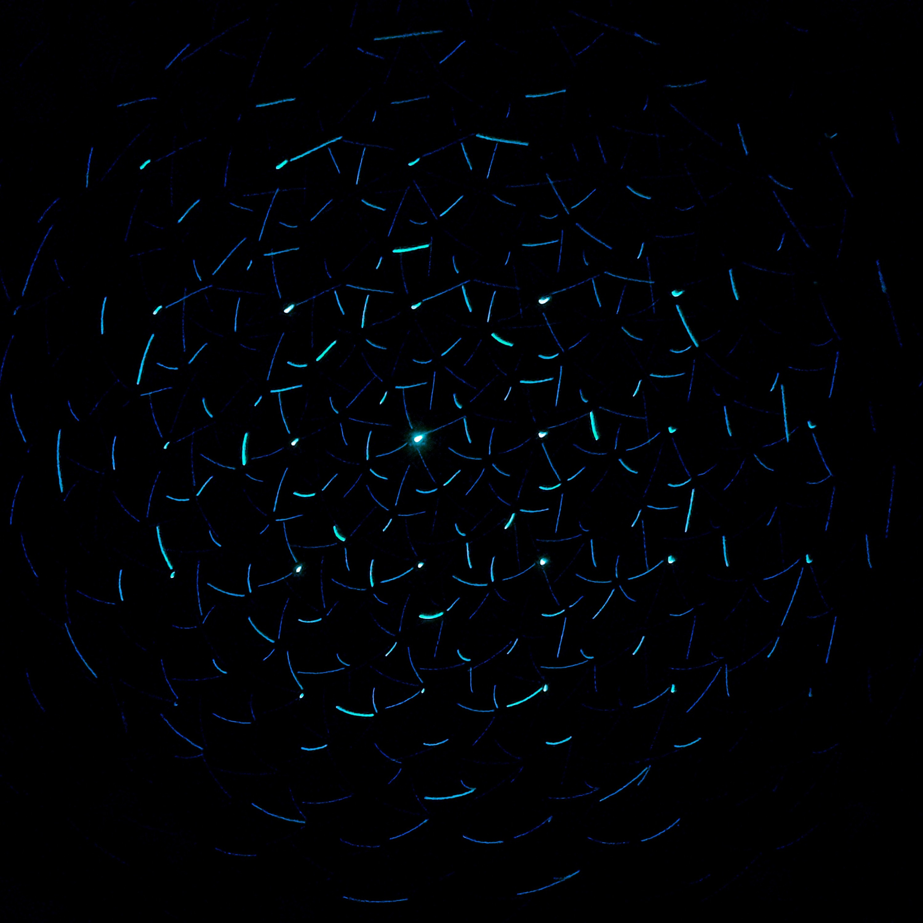 BNGEE