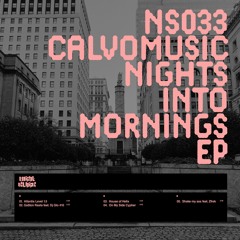 Night Slugs & CalvoMusic: Nights Into Mornings EP