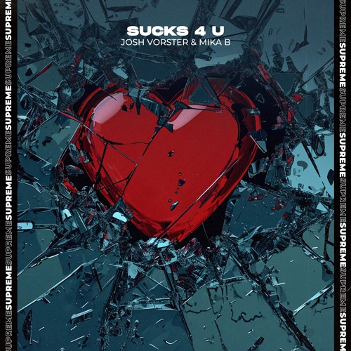 Josh Vorster & Mika B - Sucks 4 U
