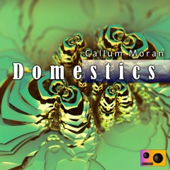 Callum Moran - Domestics (Original Mix)
