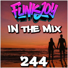funkjoy - In The Mix 244