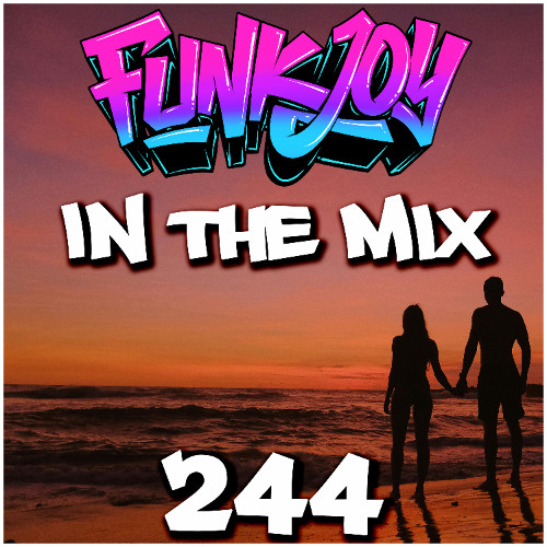 funkjoy - In The Mix 244