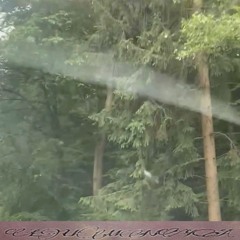Forest Lullaby