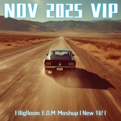 丨BigRoom EDM Mashup丨New 132丨🔥VOL.2026/12/12(FreeDownload)(Highlights) DJDXG
