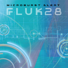 FLUK28