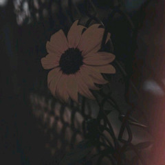 door.