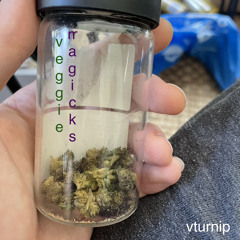 veggie magicks
