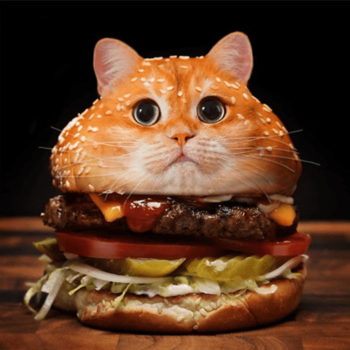 (LEAK) SPEED - ASAP Meat (DEMO)
