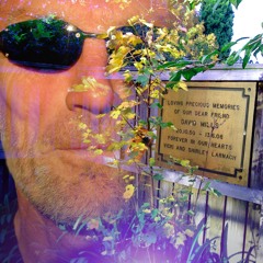 D David Starwalker Free Falling mp3