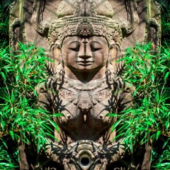 Welcome to the jungle