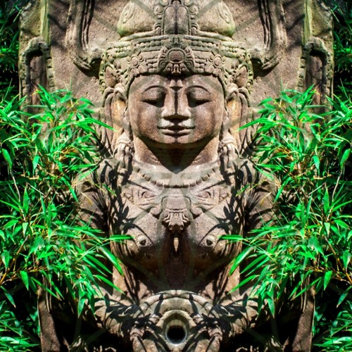 Welcome to the jungle