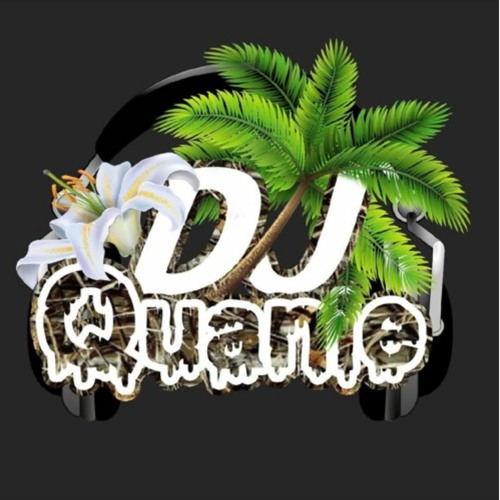 Stream Traffic Light Party Kisses Mix 35min By DJ Quanie Listen Online For Free On SoundCloud