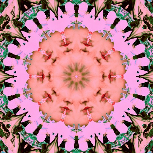 Bodhi - Reformat