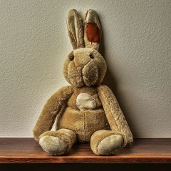 My Plush Bunny