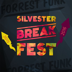 Silvester Break Fest Live Set