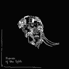 Promise Of The Light