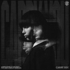 Martin Garrix & Third Party - Carry You (PAINTER Remix)