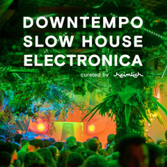 Downtempo Slow-House Electronica