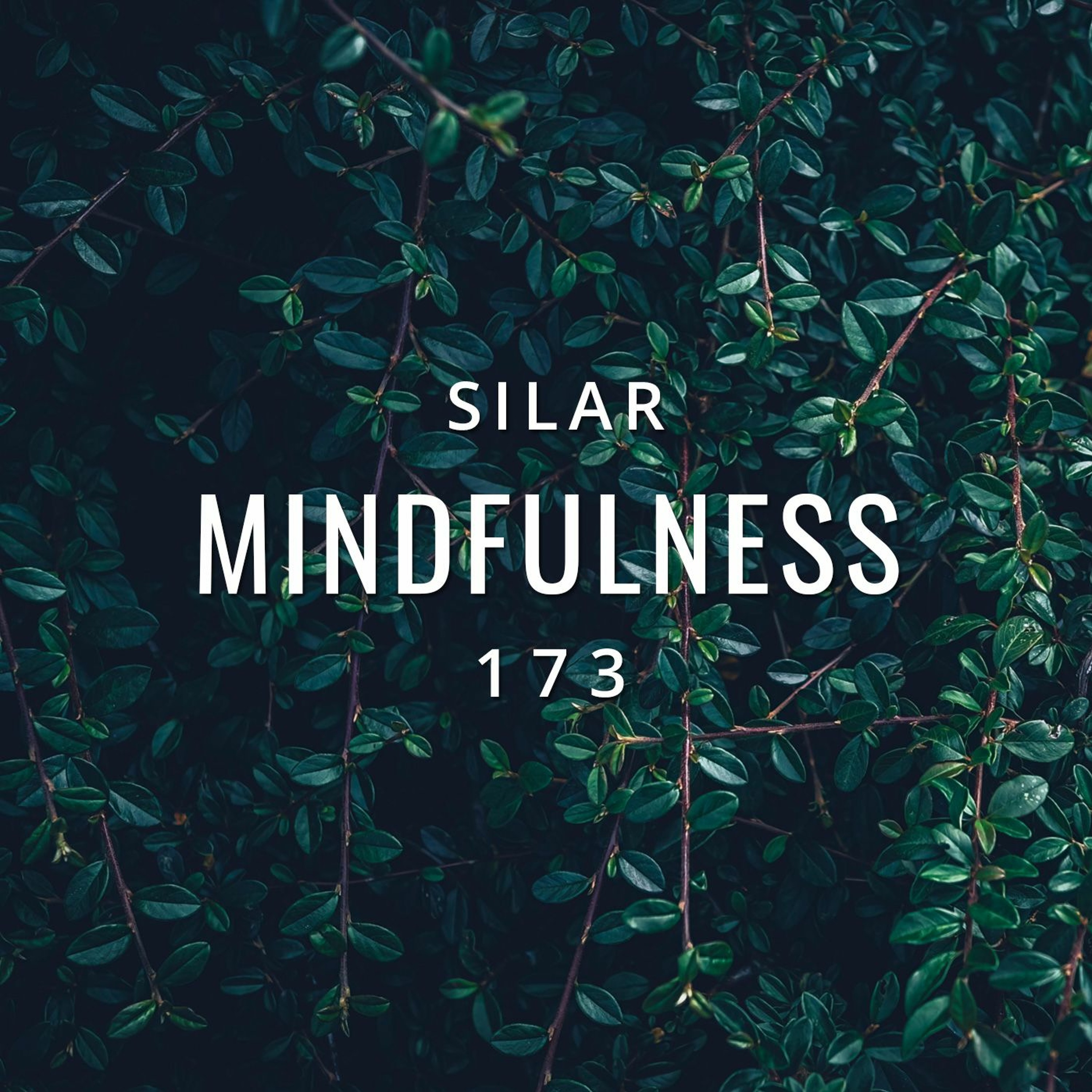 Mindfulness
