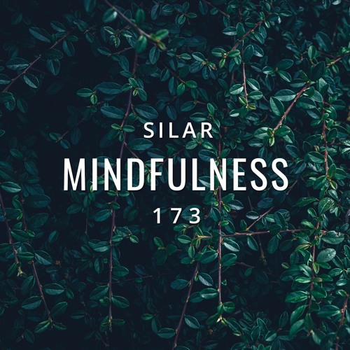 Mindfulness Episode 173