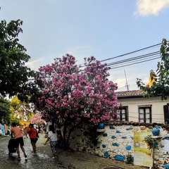 15/09