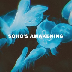 Crush Their Face, Soho (Bonus Track)