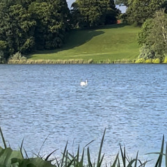 Perlesnor - live @ Dokkhuset