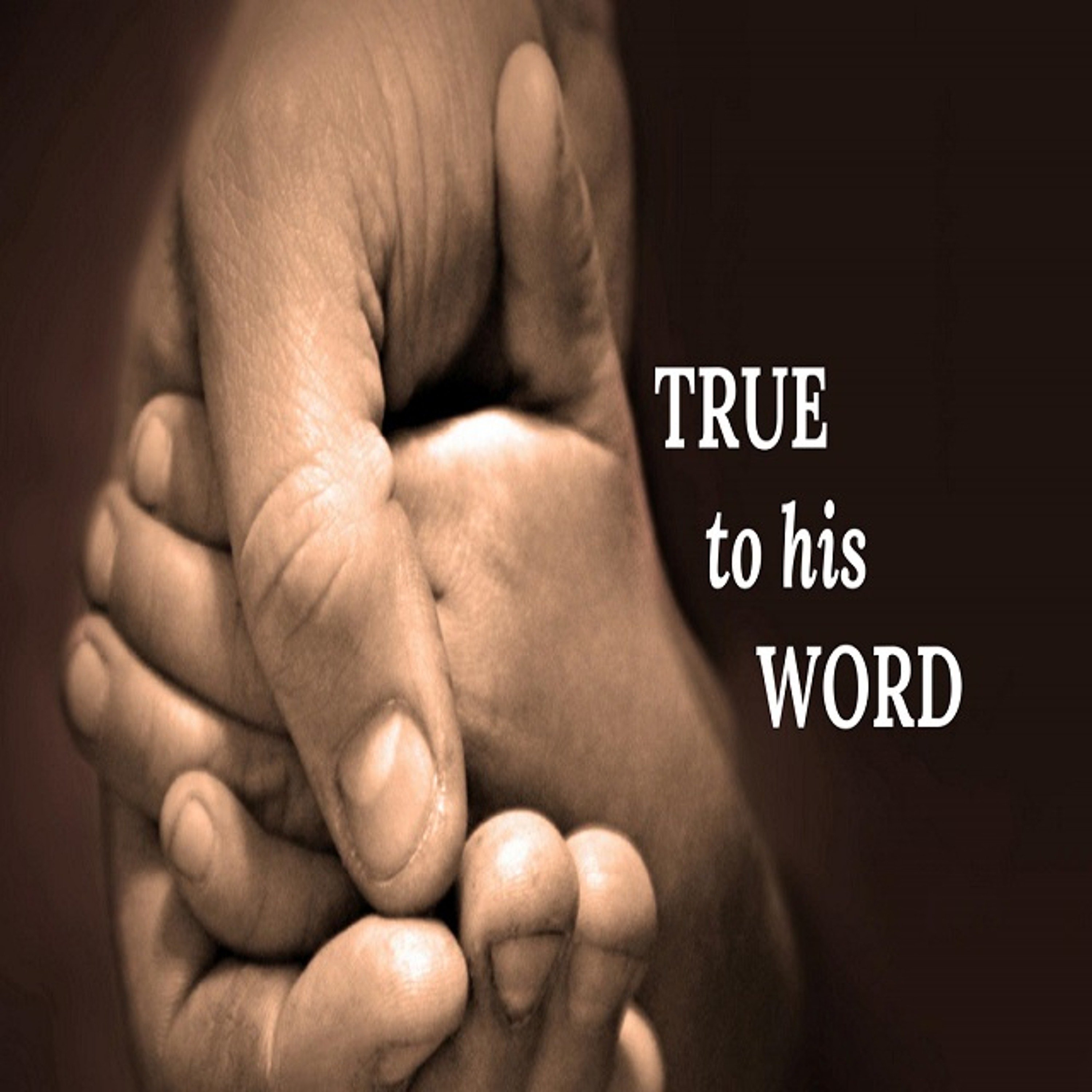 True to HIs Word #2 - July 17, 2022 - W. Shannon Potter episode artwork