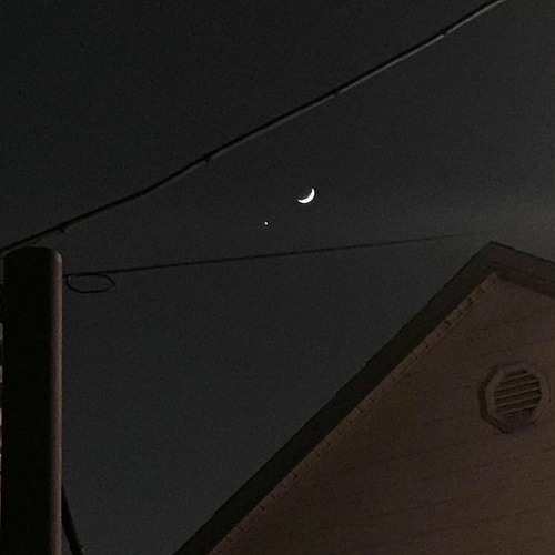 Dear Moon (cover)