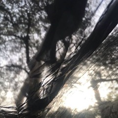 gggghhhhhhhhhhhhhhhhhhj