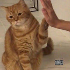 Generic (REMIX) (w/ Maxxant)