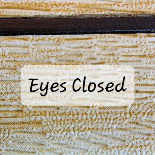 Stream Eyes Closed Cover by Jenni Cary Listen online for free on