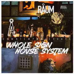 Whole Sign at RÅUM / Tulum