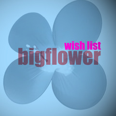 The Wish List