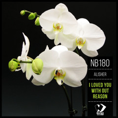 Alisher - I Loved You with out Reason (Original Mix)