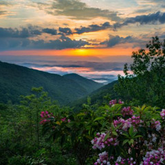 I've Never Been to West Virginia
