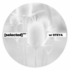 [selected] podcast 024 w/ STEYA