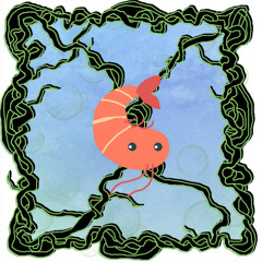 FRUITCAST # 90 | fruttidimarie | Bounce de Crevette