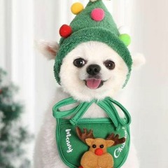 さわやか