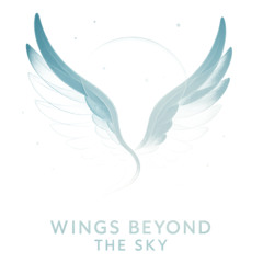 Wings Beyond the Sky