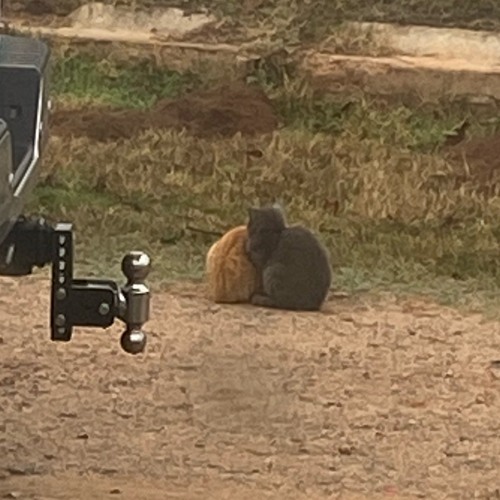 the Toil (mxtthxw x cl6udy)