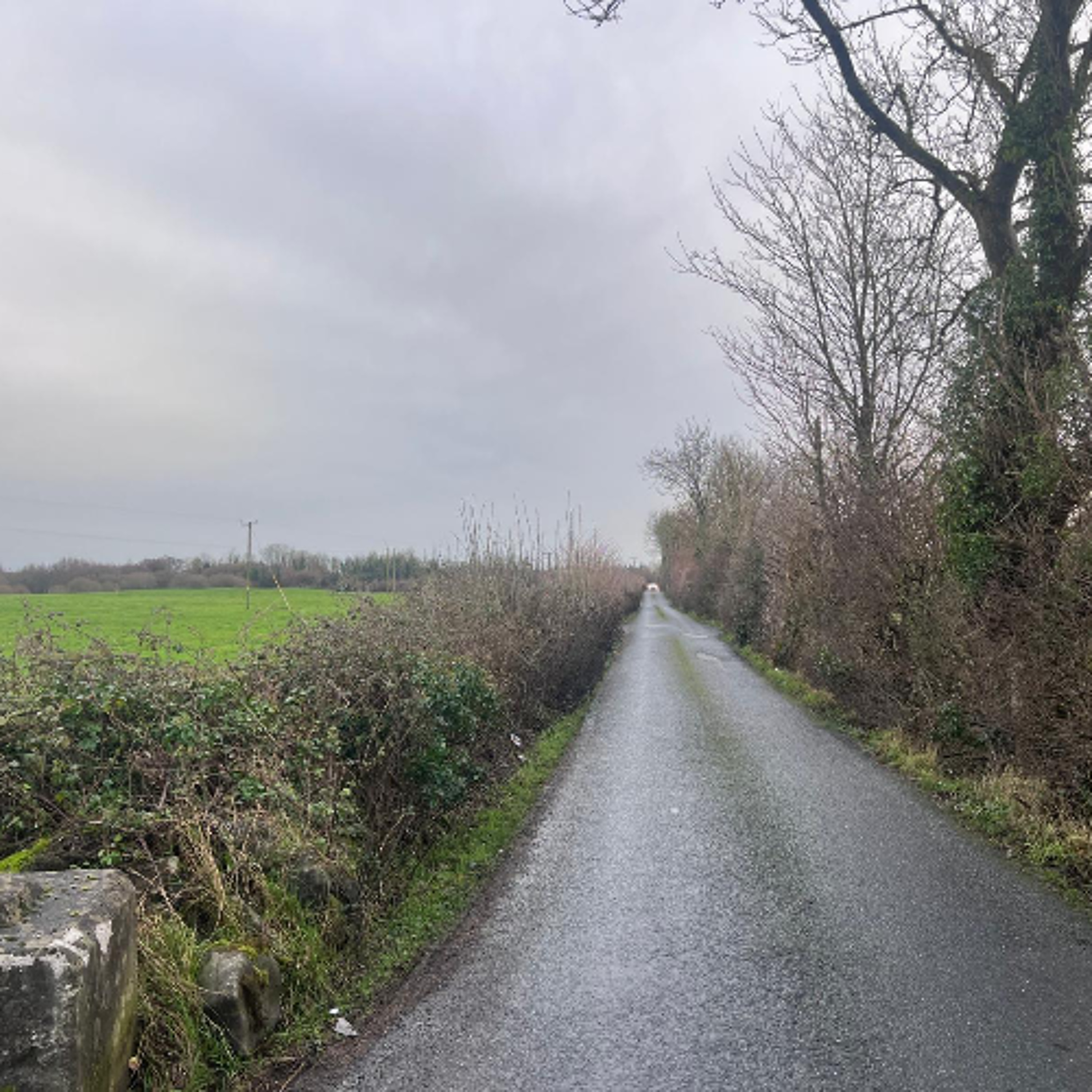Residents Of Unofficial “Bypass Of Ennis” Said To Be Living In “Nightmare Situation” Residents Of Unofficial “Bypass Of Ennis” Said To Be Living In “Nightmare Situation”