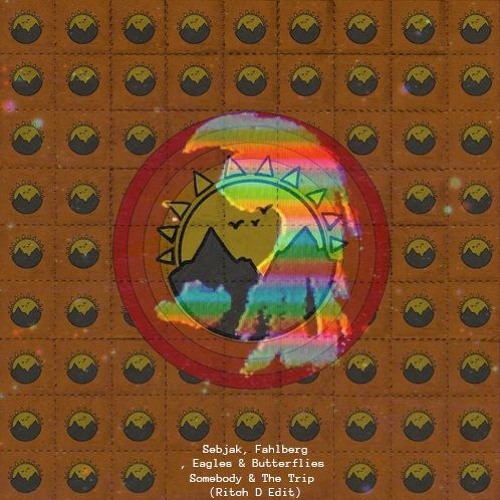Sebjak, Fahlberg, Eagles & Butterflies - Somebody & The Trip (Ritch D Edit)